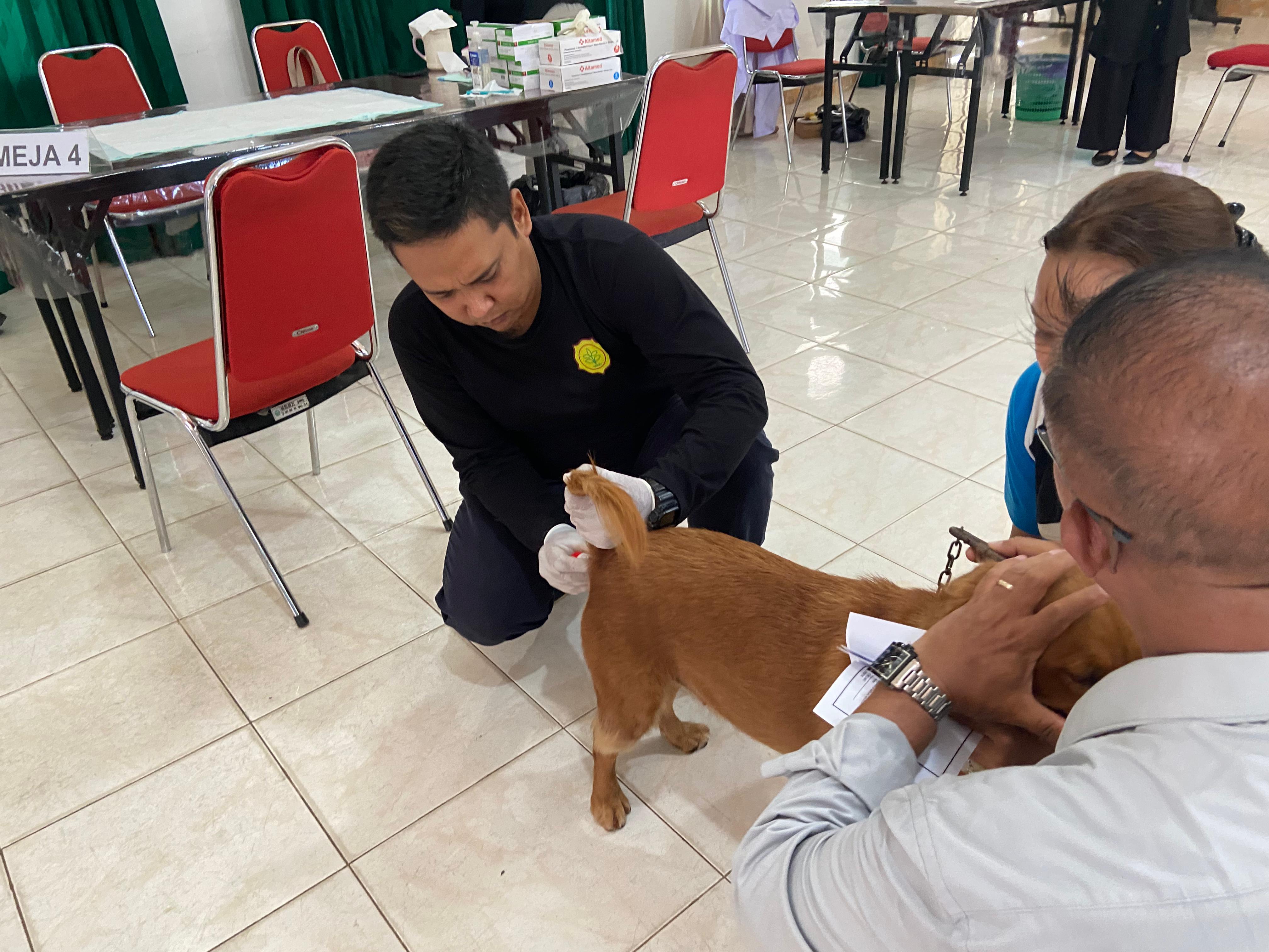 Peringatan Hari Rabies Sedunia